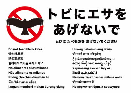 トビに餌をあげないでください