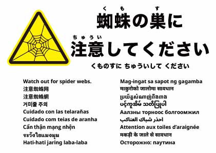 蜘蛛の巣に注意