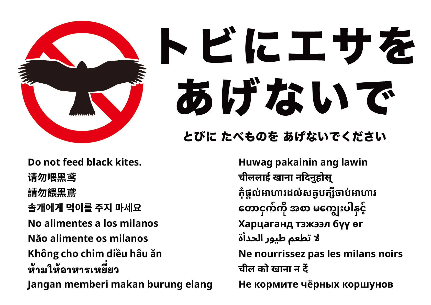 トビに餌をあげないでください